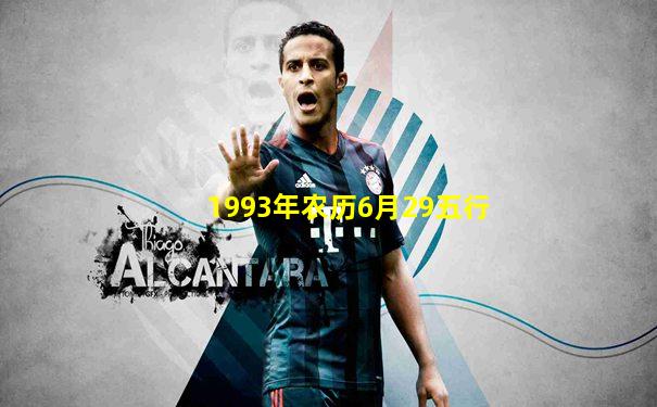 1993年农历6月29五行