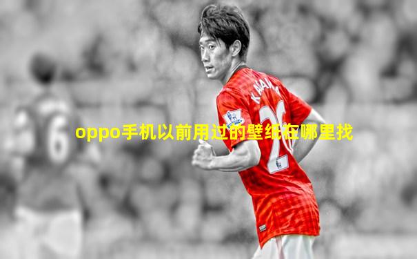 oppo手机以前用过的壁纸在哪里找
