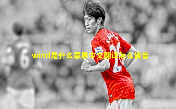 wind是什么意思中文翻译怎么读音
