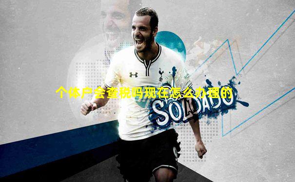 个体户会查税吗现在怎么办理的