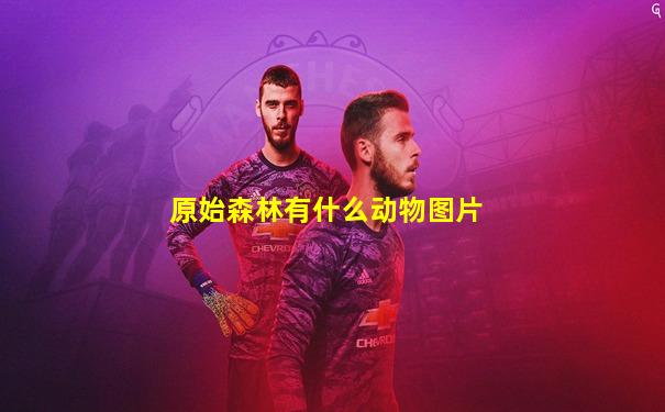 原始森林有什么动物图片