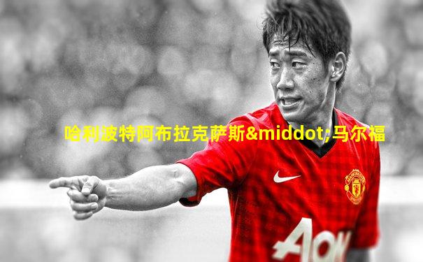 哈利波特阿布拉克萨斯·马尔福
