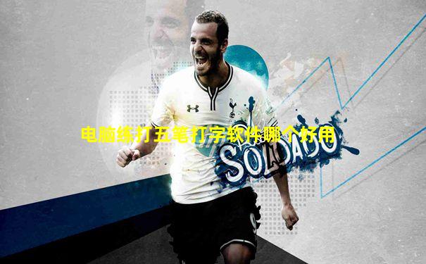 电脑练打五笔打字软件哪个好用